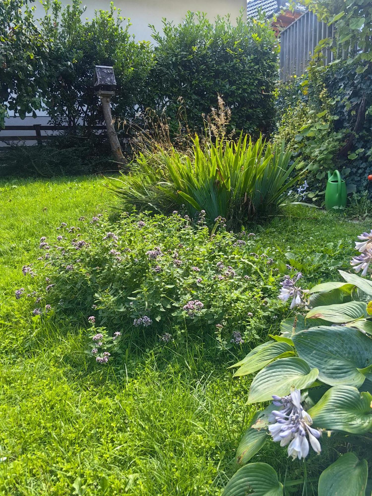 Hisa Hortenzija Luče Exterior foto