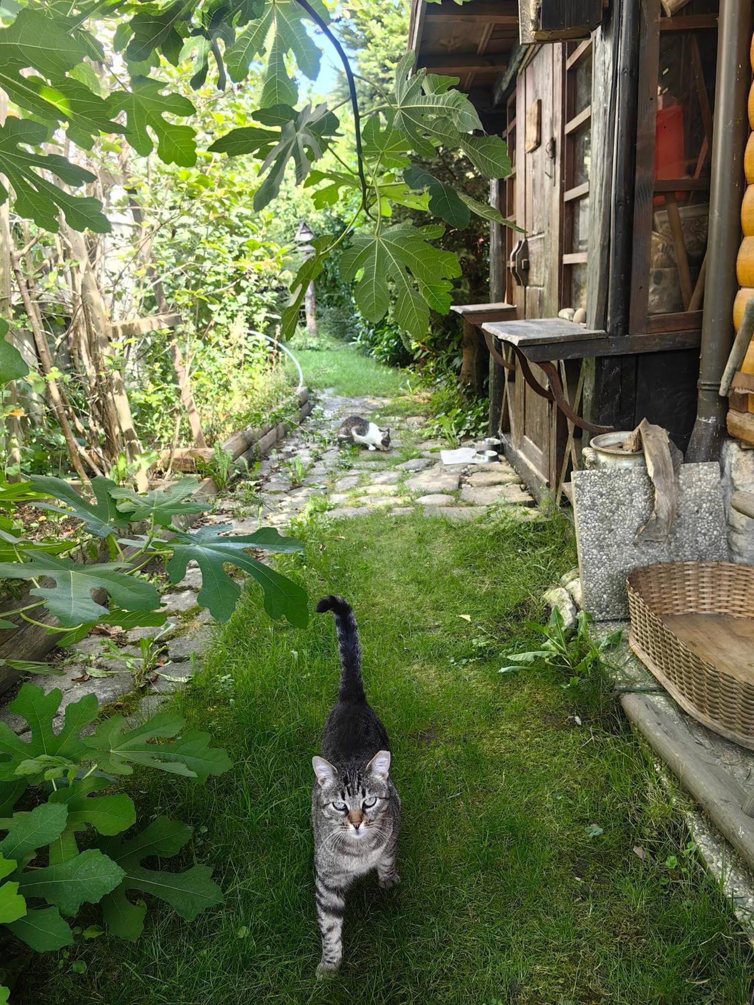 Hisa Hortenzija Luče Exterior foto